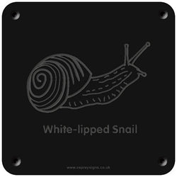 'White-lipped Snail' rubbing plaque