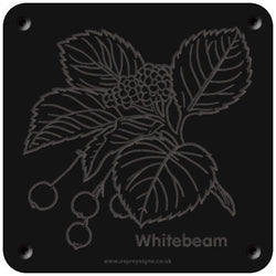 'Whitebeam' rubbing plaque