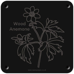 'Wood anemone' rubbing plaque