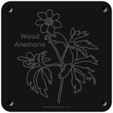 'Wood anemone' rubbing plaque