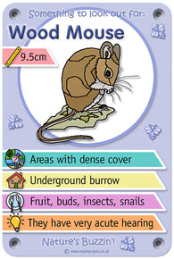 Nature's Buzzin' 'Wood Mouse'