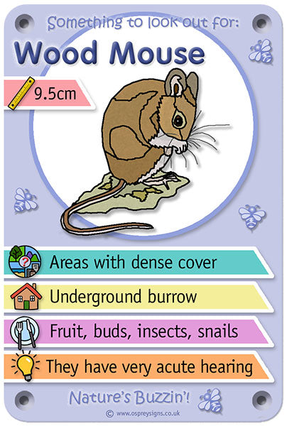 Nature's Buzzin' 'Wood Mouse'