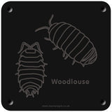 'Woodlouse' rubbing plaque