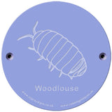 Rainbow Rubbing 'Woodlouse'