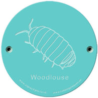 Rainbow Rubbing 'Woodlouse'