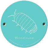 Rainbow Rubbing 'Woodlouse'