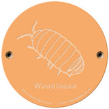 Rainbow Rubbing 'Woodlouse'