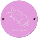 Rainbow Rubbing 'Woodlouse'