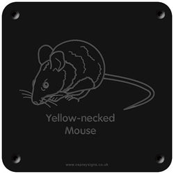 'Yellow-necked mouse' rubbing plaque