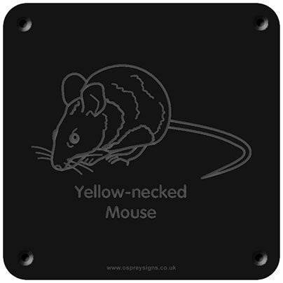 'Yellow-necked mouse' rubbing plaque
