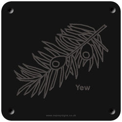 'Yew' rubbing plaque