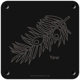 'Yew' rubbing plaque