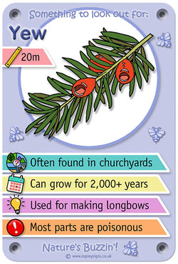 Nature's Buzzin' 'Yew'