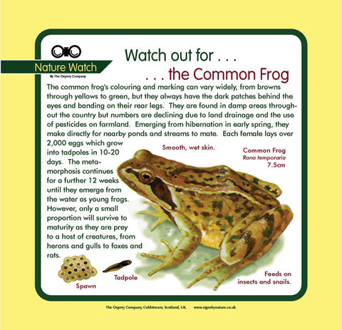 'Common frog' Nature Watch Panel