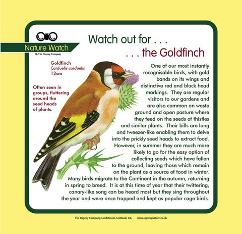 'Goldfinch' Nature Watch Panel