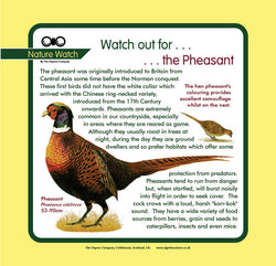 'Pheasant' Nature Watch Panel