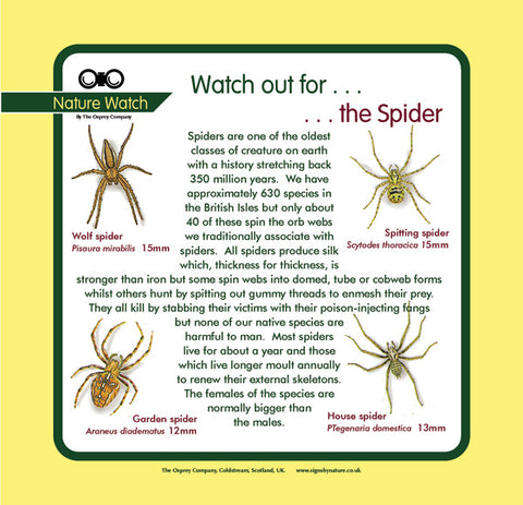 'Spider' Nature Watch Panel