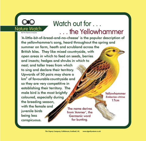 'Yellowhammer' Nature Watch Panel