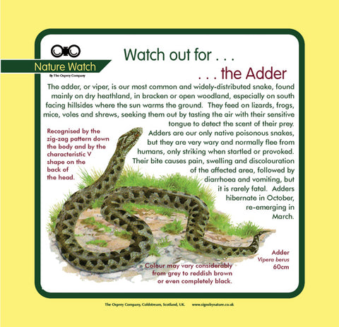'Adder' Nature Watch Panel