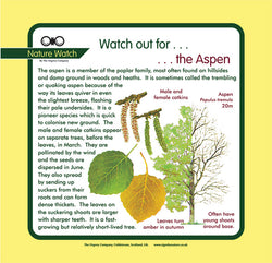 'Aspen' Nature Watch Panel