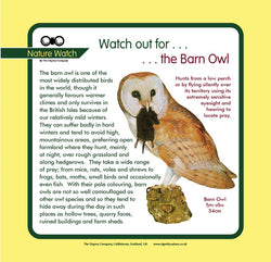 'Barn owl' Nature Watch Panel