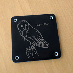 'Barn owl' rubbing plaque