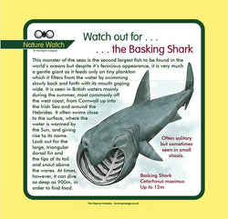 'Basking shark' Nature Watch Panel