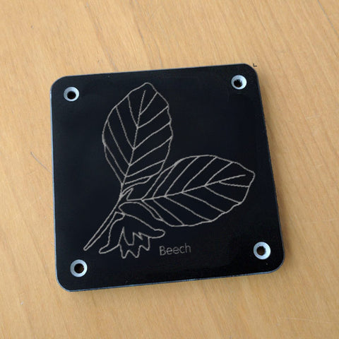'Beech' rubbing plaque
