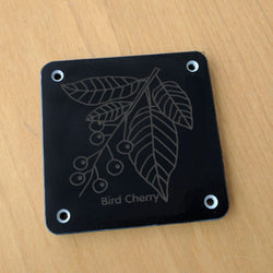 'Bird Cherry' rubbing plaque