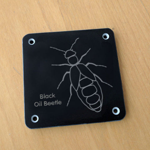 'Black oil beetle' rubbing plaque