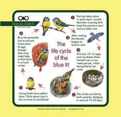 'Blue tit life cycle' Nature Watch Panel