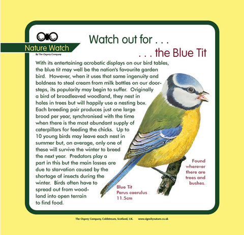 'Blue tit' Nature Watch Panel