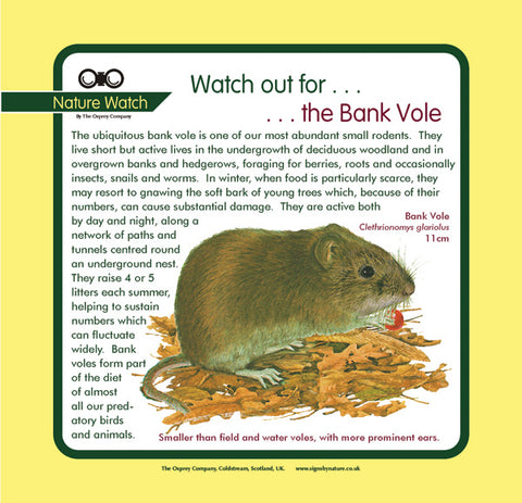 'Bank vole' Nature Watch Panel