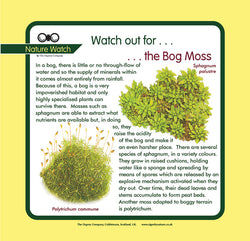 'Bog moss' Nature Watch Panel
