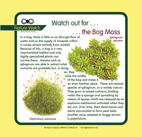 'Bog moss' Nature Watch Panel