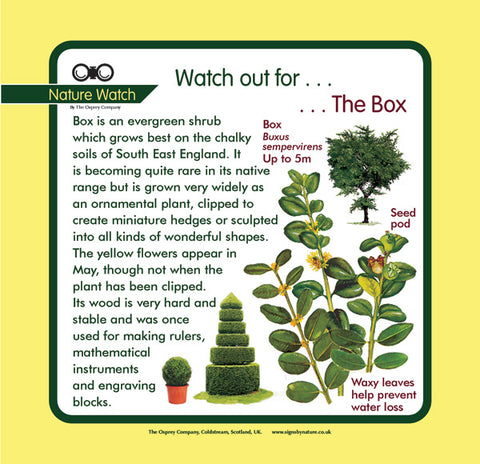 'Box' Nature Watch Panel