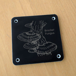 'Bracket fungus' rubbing plaque