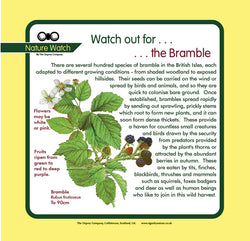 'Bramble' Nature Watch Panel