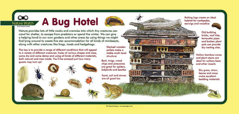 'Bug Hotel' Nature Watch Plus Panel