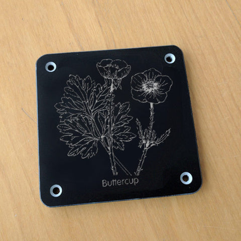 'Buttercup' rubbing plaque