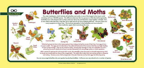 'Butterflies and Moths' Nature Watch Plus Panel