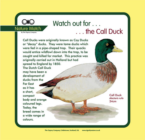 'Call duck' Nature Watch Panel