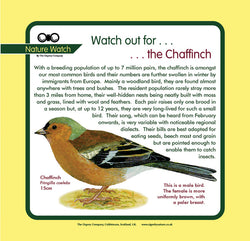 'Chaffinch' Nature Watch Panel