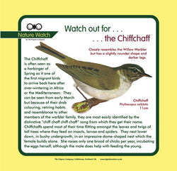 'Chiff chaff' Nature Watch Panel