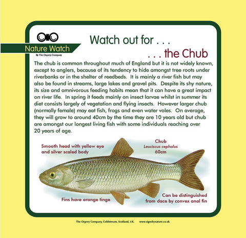 'Chubb' Nature Watch Panel
