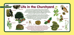 'Churchyard' Nature Watch Plus Panel