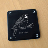 'Cirl bunting' rubbing plaque