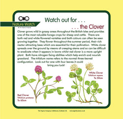 'Clover' Nature Watch Panel