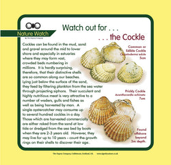 'Cockle' Nature Watch Panel