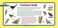 'Common birds' Nature Watch Plus Panel